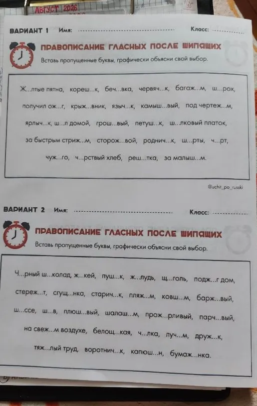 ПРАВОПИСАНИЕ ГЛАСНЫХ ПОСЛЕ ШИПЯЩИХ. Вставь пропущенные буквы, графически объясни свой выбор.
