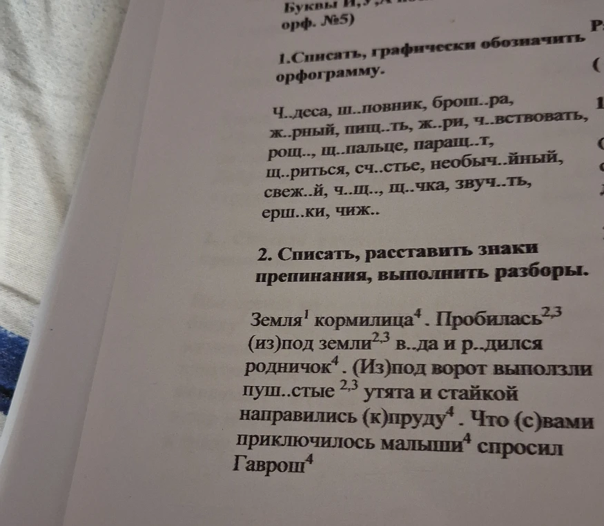1. Списать, графически обозначить орфограмму. 2. Списать, расставить знаки препинания, выполнить разборы.