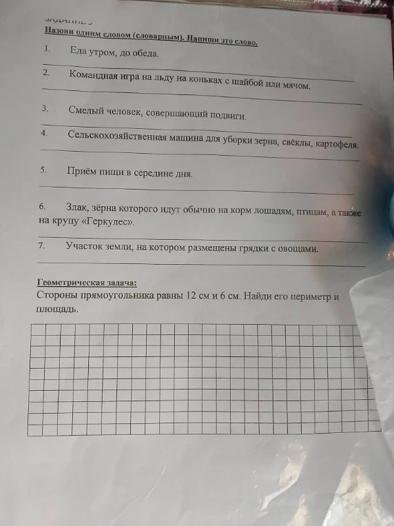 Назови одним словом (словарным). Напиши это слово.