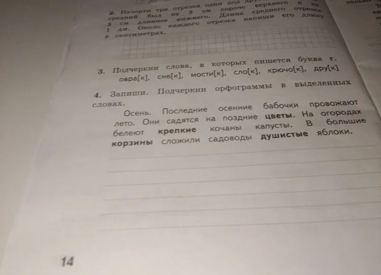 2. Начерти три отрезка один под другим так, чтобы средний был на 3 см короче верхнего и на 2 см длиннее нижнего. Длина среднего отрезка 1 дм. Около каждого отрезка напиши его длину в сантиметрах.