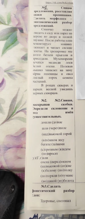 №1. Спиши предложения, расставляя знаки препинания. Сделать морфолого-синтаксический разбор предложений. №2. Спиши, раскрывая скобки. Определи склонение и род имен существительных. №3. Сделать фонетический разбор слов: Здоровье, снегопад.