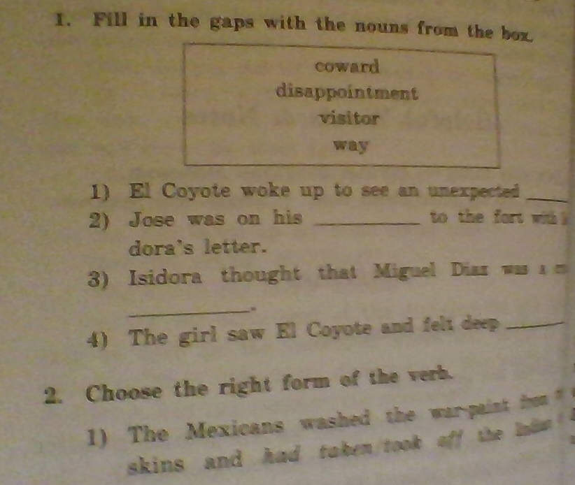 Fill in the gaps with the nouns from the box.