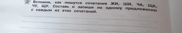 Вспомни, как пишутся сочетания ЖИ, ШИ, ЧА, ЩА, ЧУ, ЩУ. Составь и запиши по одному предложению с каждым из этих сочетаний.