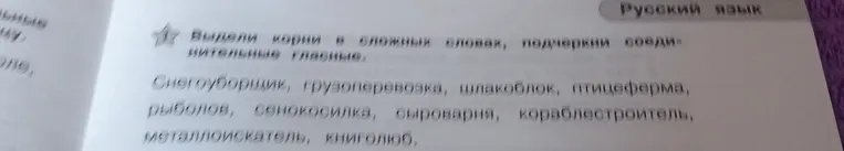 Выдели корни в сложных словах, подчеркни соединительные гласные.