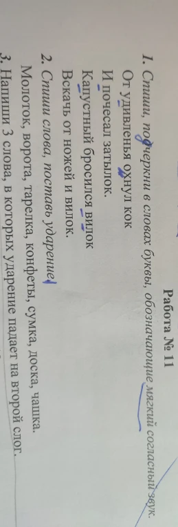 1. Спиши, подчеркни в словах буквы, обозначающие мягкий согласный звук. От удивленья охнул кок. И почесал затылок. Капустный бросился вилок. Вскачь от ножей и вилок.