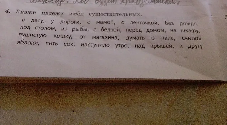 Укажи падежи имён существительных.