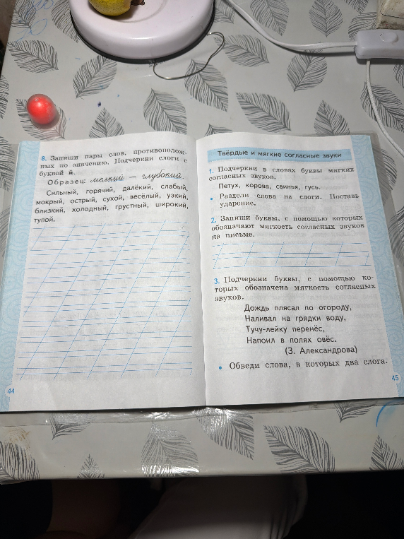 8. Запиши пары слов, противоположных по значению. Подчеркни слоги с буквой й.