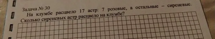 На клумбе расцвело 17 астр: 7 розовые, а остальные — сиреневые. Сколько сиреневых астр расцвело на клумбе?