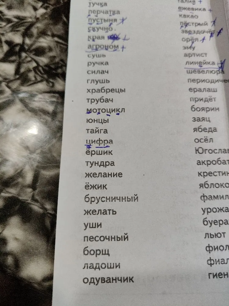 найди твёрдые согласные звуки
