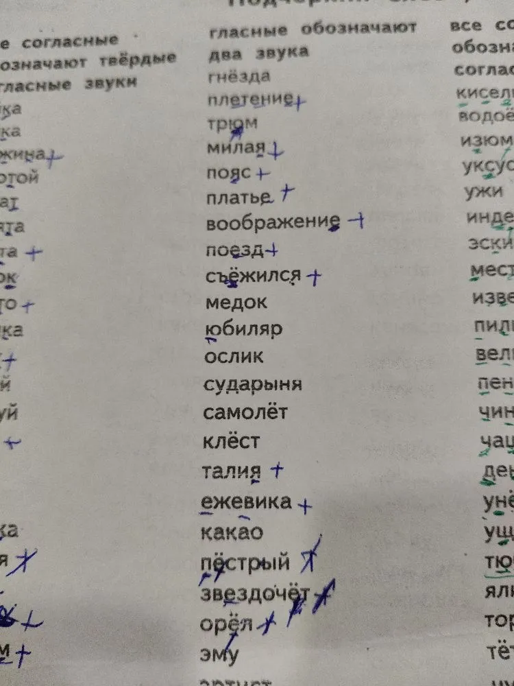 Подчеркни слова, в которых гласные обозначают два звука