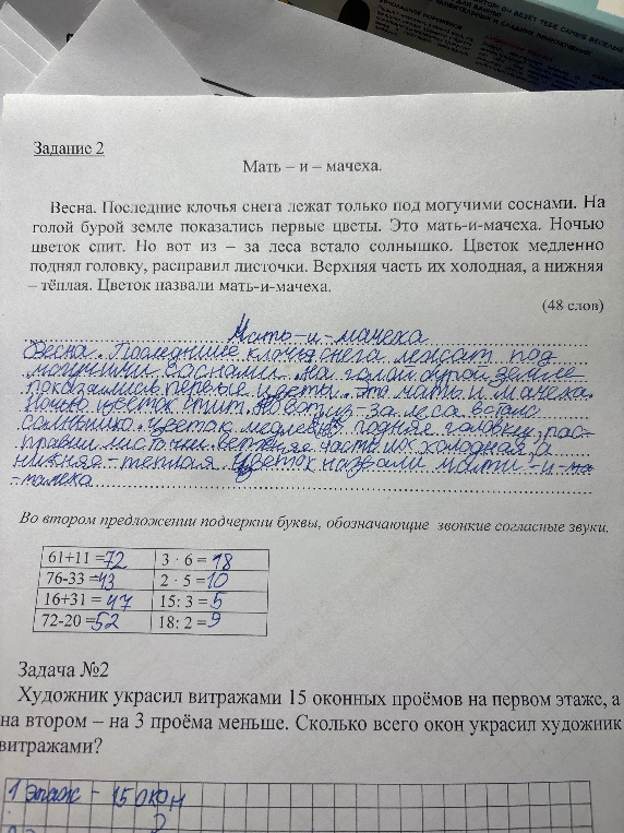 Во втором предложении подчеркни буквы, обозначающие звонкие согласные звуки.