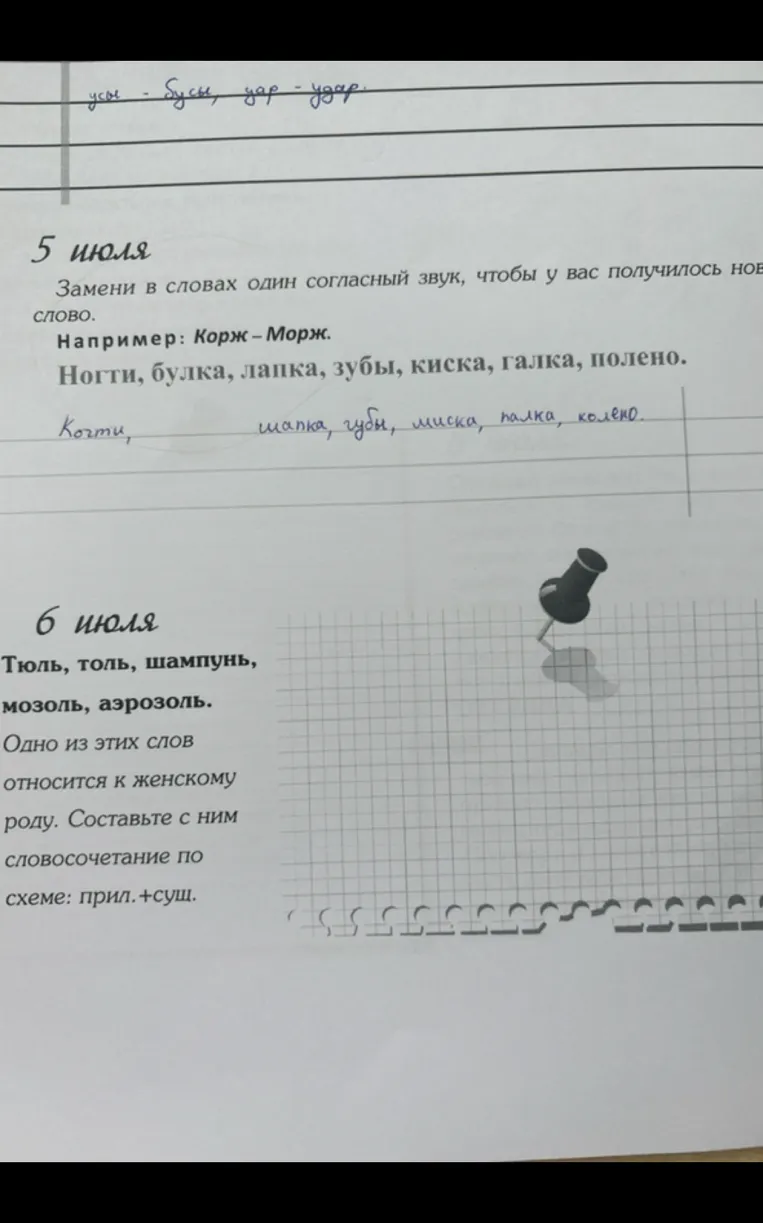 Тюль, толь, шампунь, мозоль, аэрозоль. Одно из этих слов относится к женскому роду. Составьте с ним словосочетание по схеме: прил. + сущ.