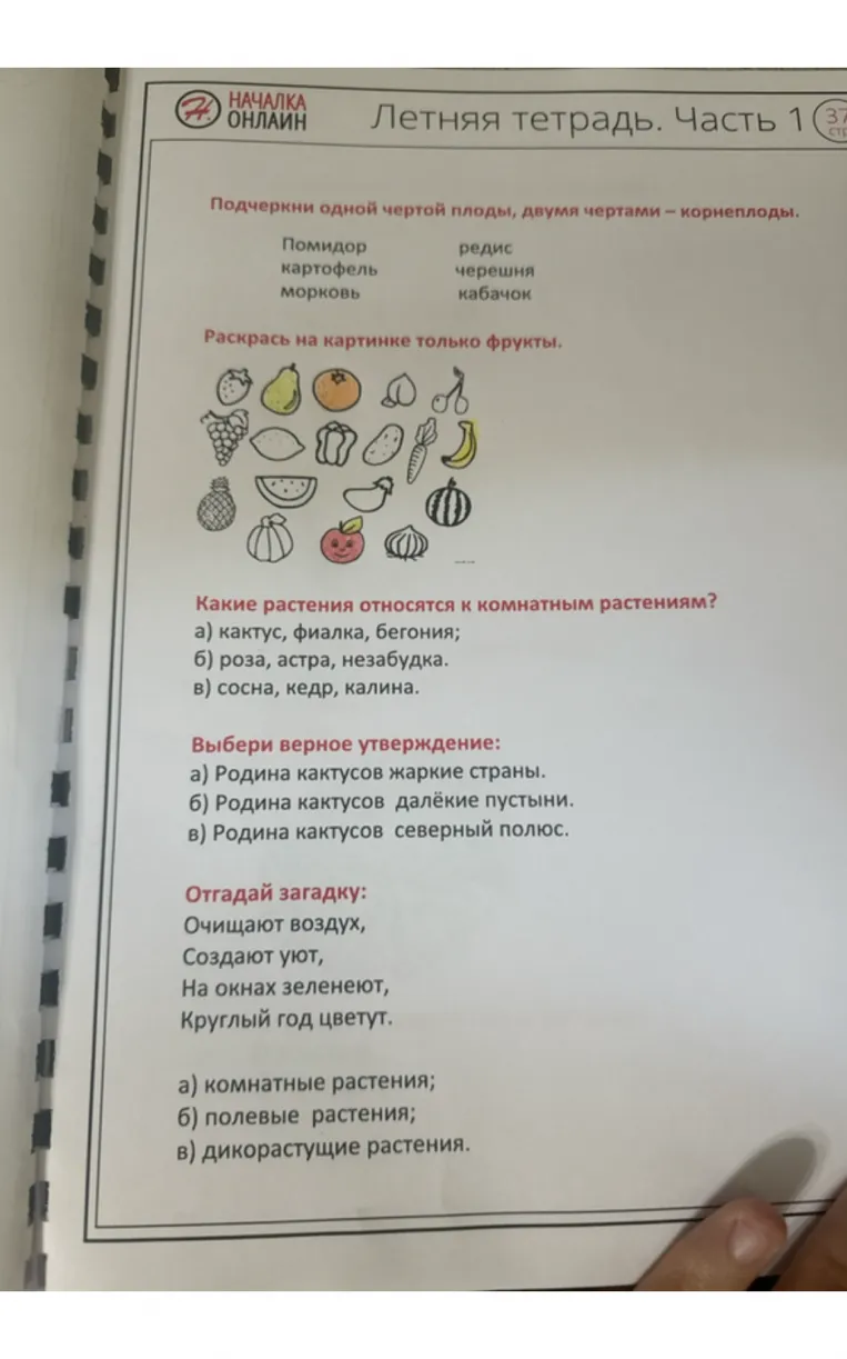 Подчеркни одной чертой плоды, двумя чертами — корнеплоды.