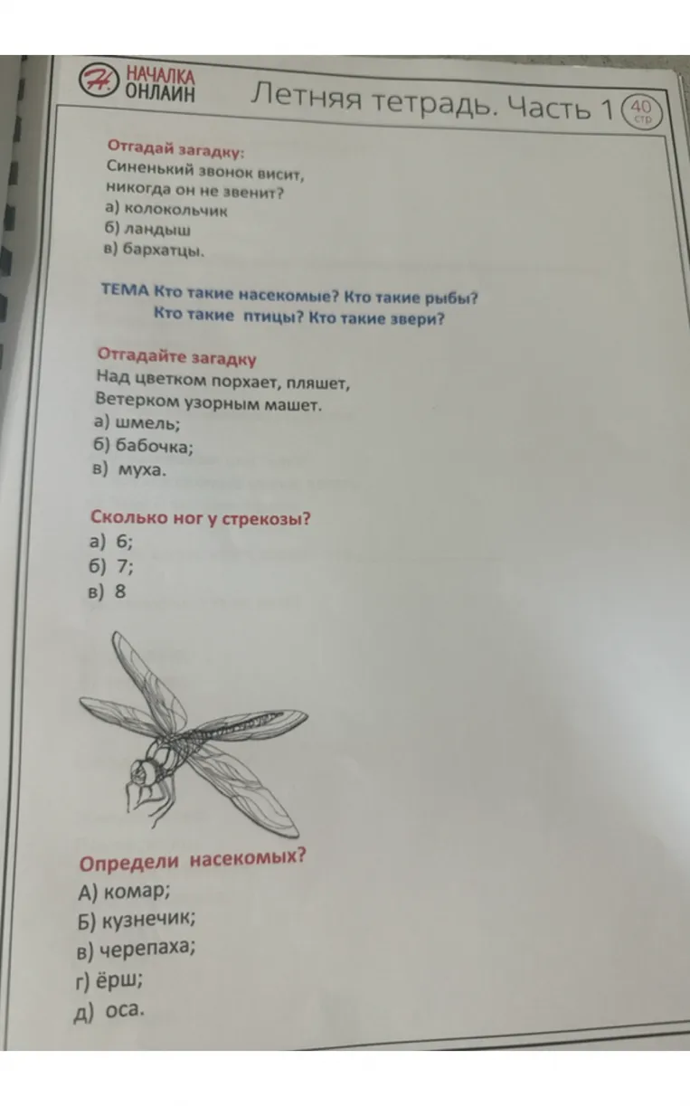 Отгадай загадку: Синький звонок висит, никогда он не звенит?