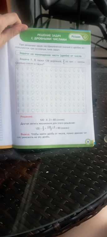 Задача 1. В парке 120 деревьев, 2/3 из них — сосны. Сколько сосен в парке?