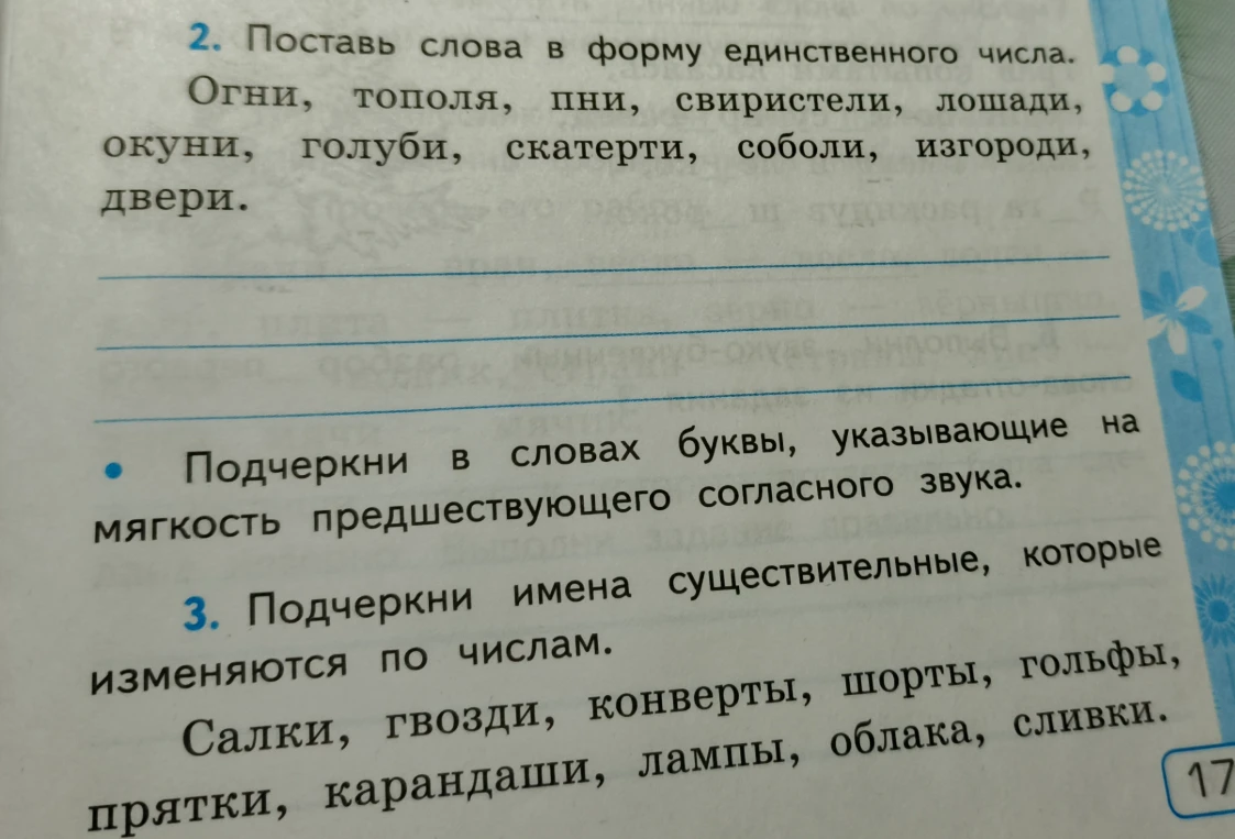 2. Поставь слова в форму единственного числа. Огни, тополя, пни, свиристели, лошади, окуни, голуби, скатерти, соболи, изгороди, двери.