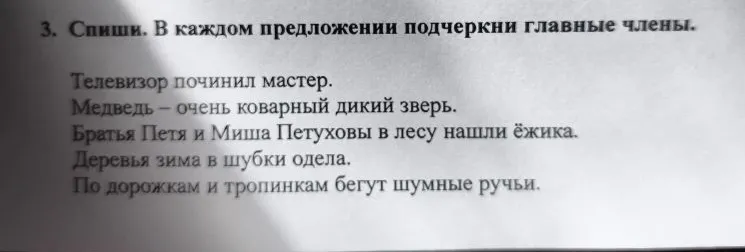 3. Спиши. В каждом предложении подчеркни главные члены.