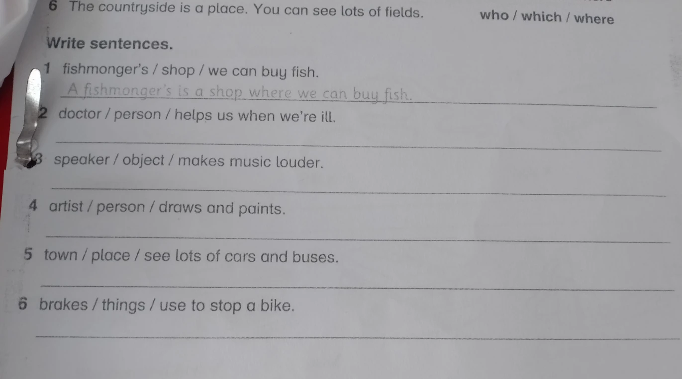 Write sentences.