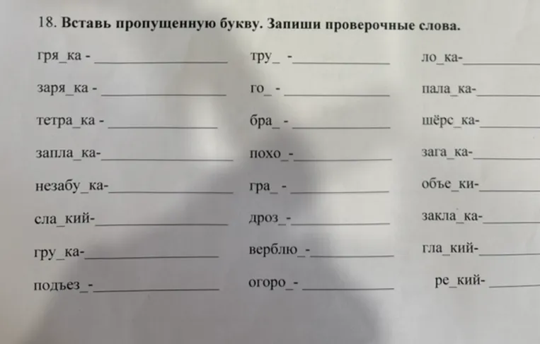 18. Вставь пропущенную букву. Запиши проверочные слова.