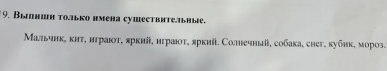 19. Выпиши только имена существительные.