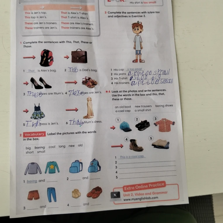Label the pictures with the words in the box.