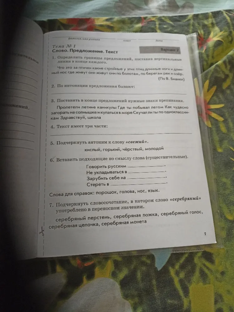 1. Определить границы предложений, поставив вертикальные линии в конце каждого.