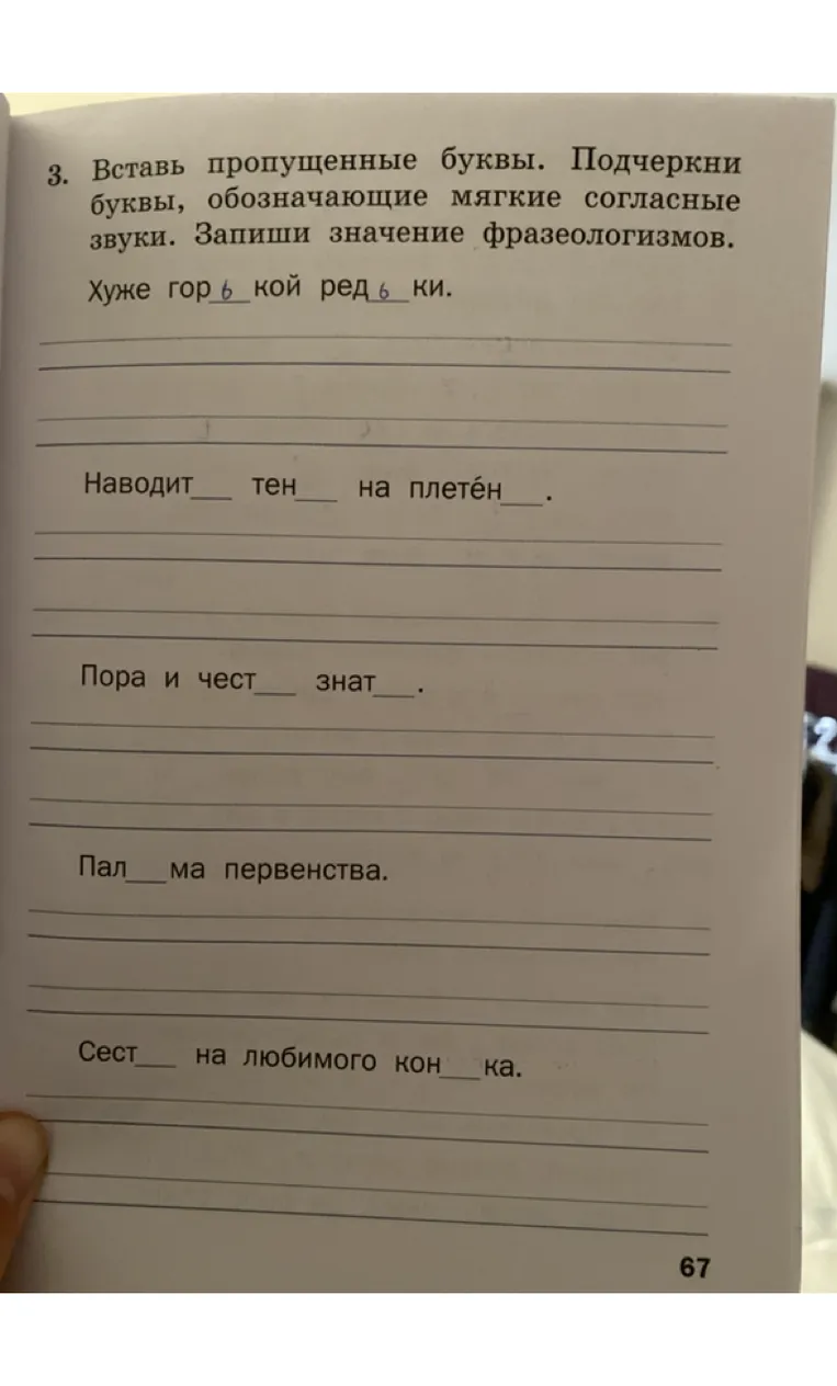 Вставь пропущенные буквы. Подчеркни буквы, обозначающие мягкие согласные звуки. Запиши значение фразеологизмов.