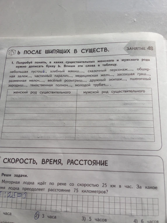 Попробуй понять, в каких существительных женского и мужского рода нужно дописать букву ь.