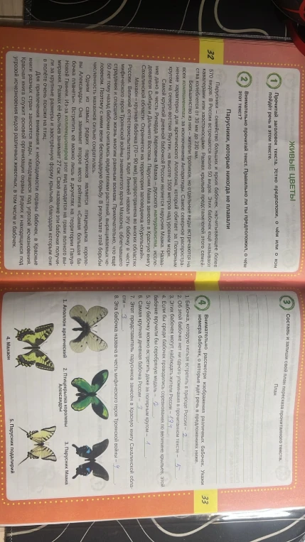 Живые цветы. Парусники, которые никогда не плавали.
