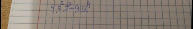 4x^2y^2 - 9x^4
