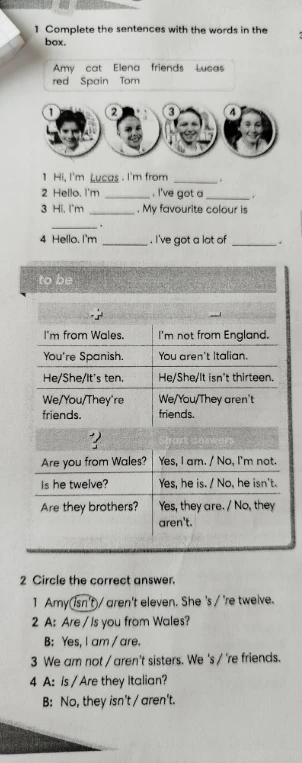 Complete the sentences with the words in the box.