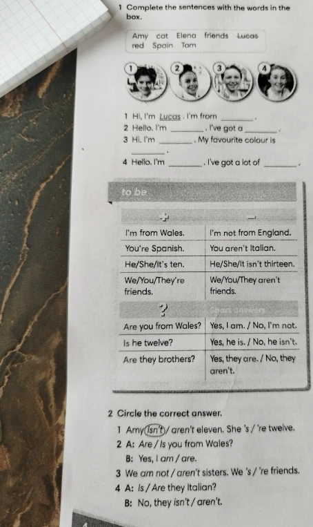 Complete the sentences with the words in the box.