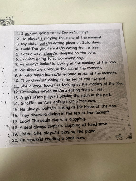 1. I go/am going to the Zoo on Sundays.