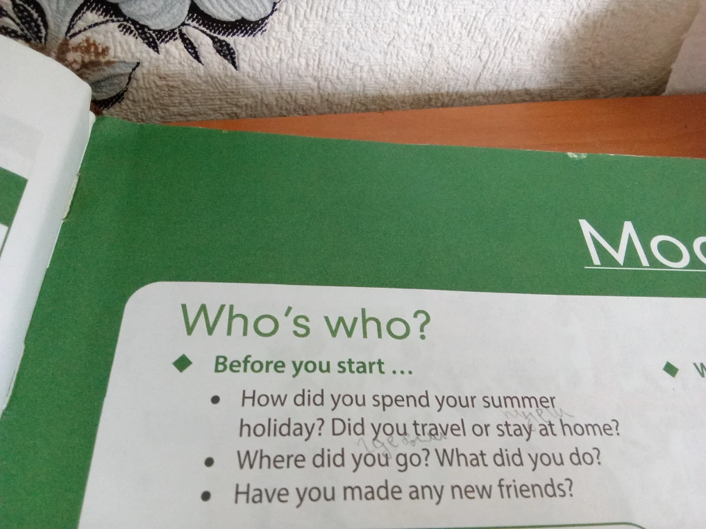 How did you spend your summer holiday? Did you travel or stay at home?