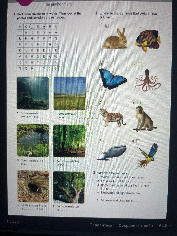 Find seven environment words. Then look at the photos and complete the sentences.