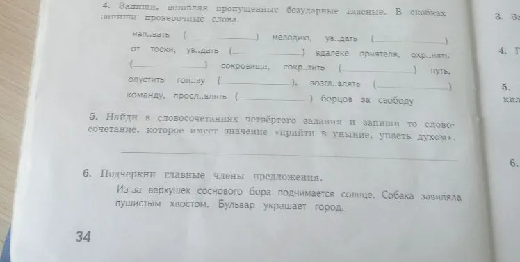 4. Запиши, вставляя пропущенные безударные гласные. В скобках запиши проверочные слова.