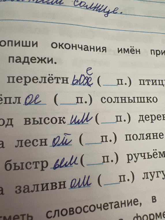 опиши окончания имён прилагательных и падежи