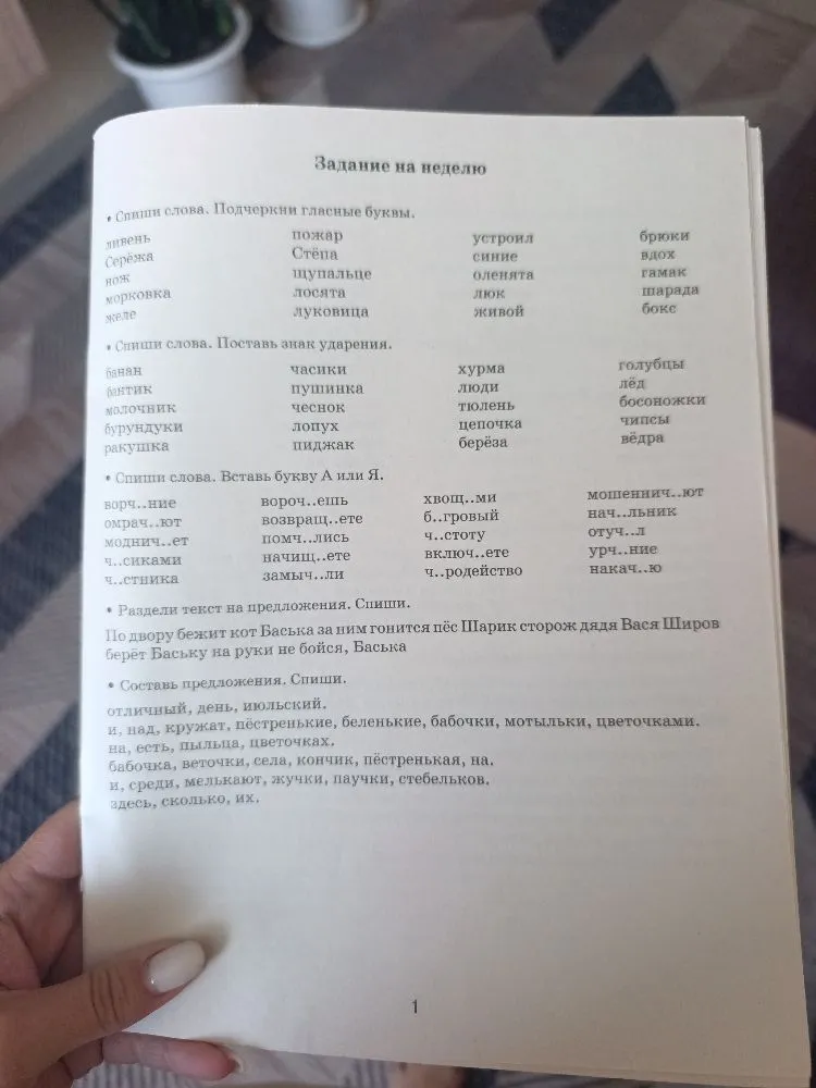 Спиши слова. Подчеркни гласные буквы.
