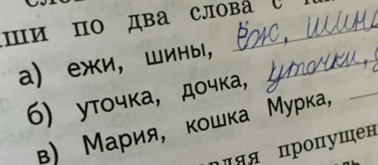 а) ежи, шины