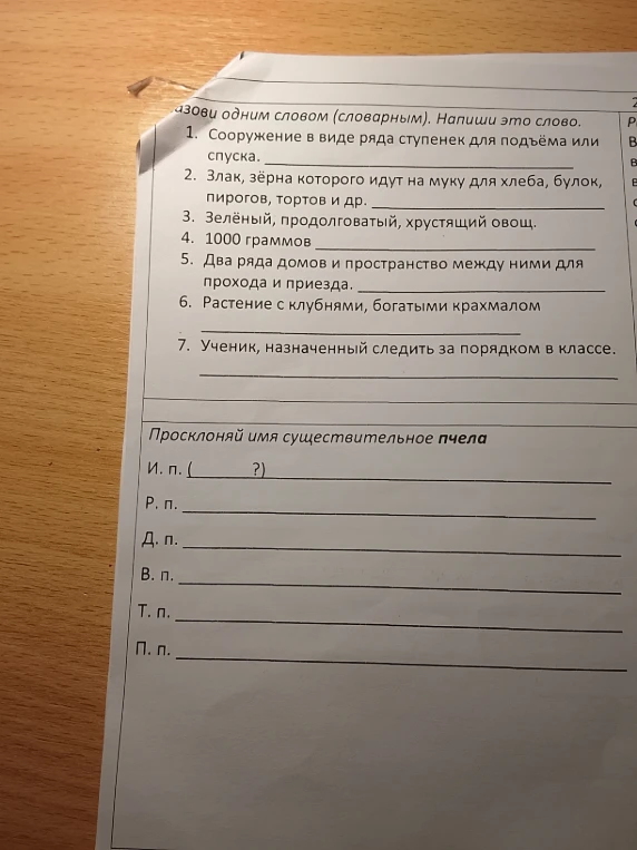 Назови одним словом (словарным). Напиши это слово.