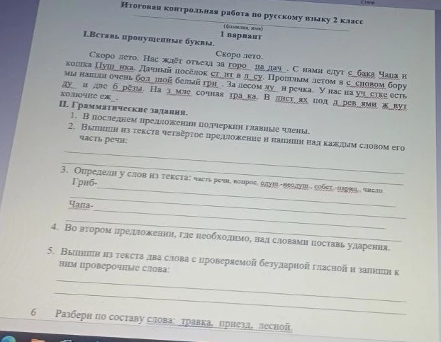 Итоговая контрольная работа по русскому языку 2 класс. I.Вставь пропущенные буквы.