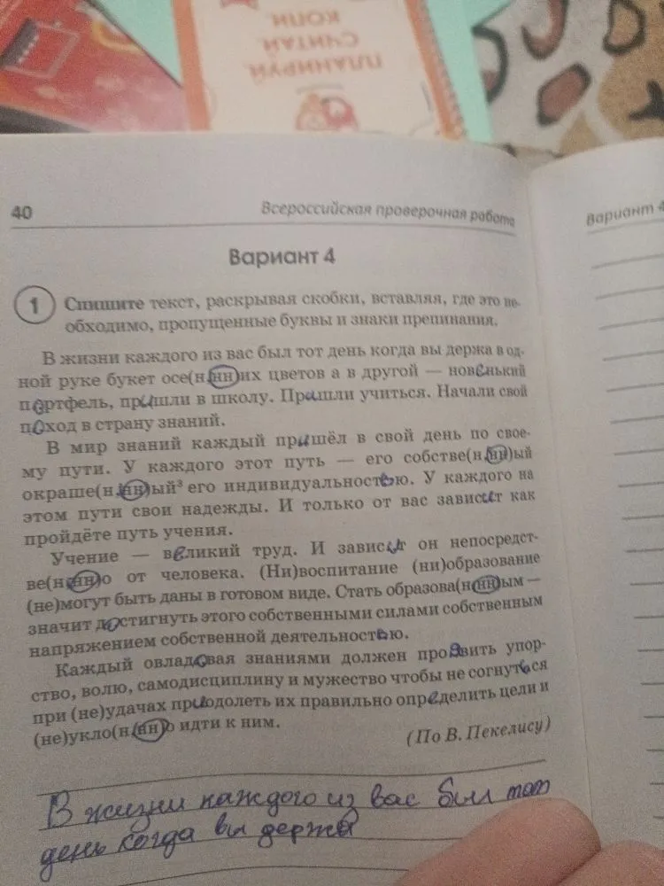 Спишите текст, раскрывая скобки, вставляя, где это необходимо, пропущенные буквы и знаки препинания.