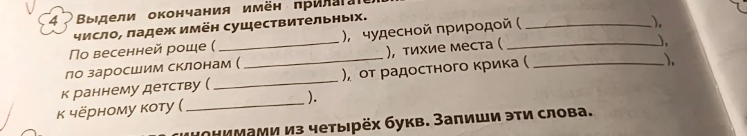 Выдели окончания имён прилагательных, укажи число, падеж имён существительных.