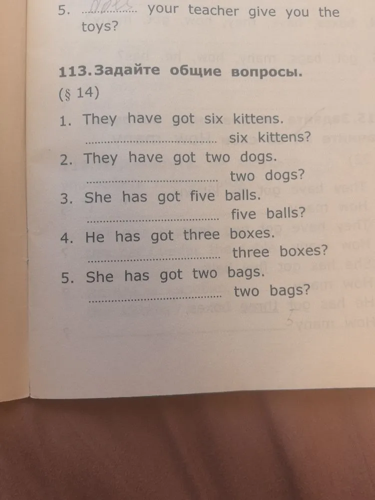 113. Задайте общие вопросы. (§ 14) 1. They have got six kittens.