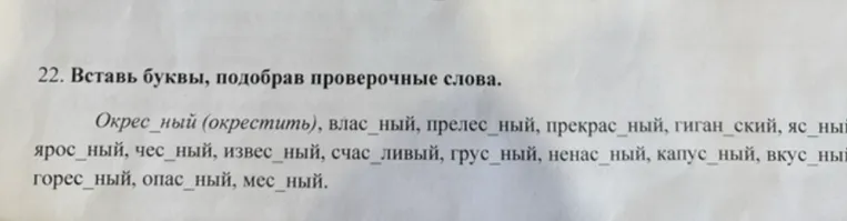 22. Вставь буквы, подобрав проверочные слова.