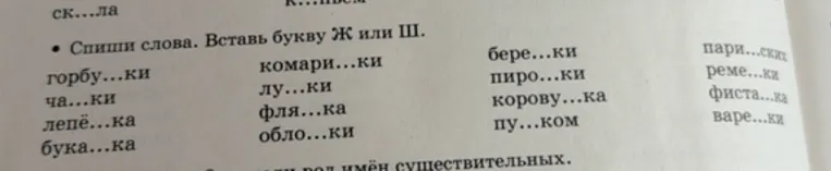 Спиши слова. Вставь букву Ж или Ш.
