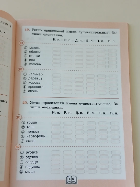 19. Устно просклоняй имена существительные. Запиши окончания.