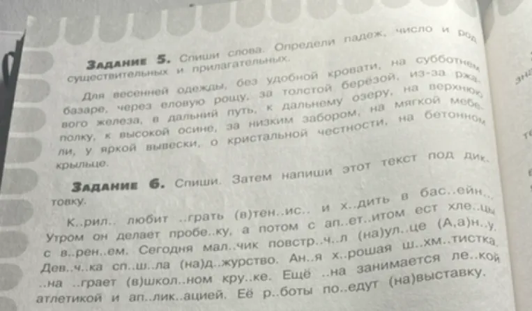 Задание 5. Спиши слова. Определи падеж, число и род существительных и прилагательных.