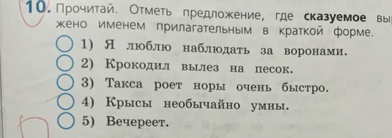 10. Прочитай. Отметь предложение, где сказуемое выражено именем прилагательным в краткой форме.