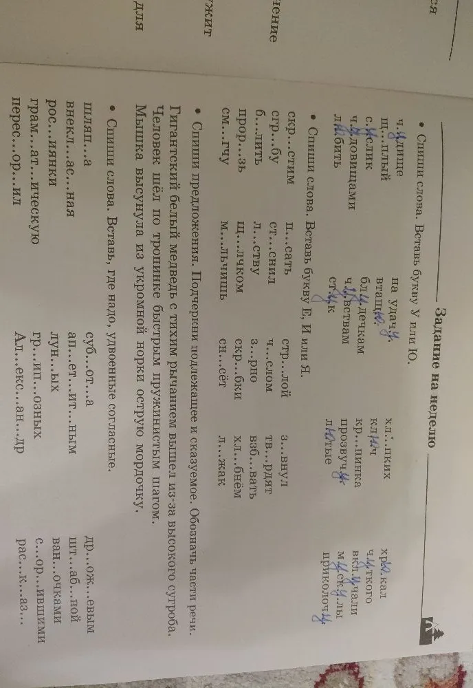 Спиши слова. Вставь букву У или Ю.